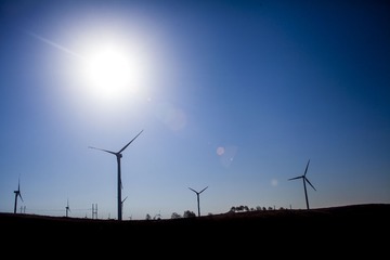 IMG_8653_1