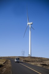 IMG_8736_1