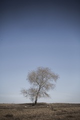 IMG_8842_1