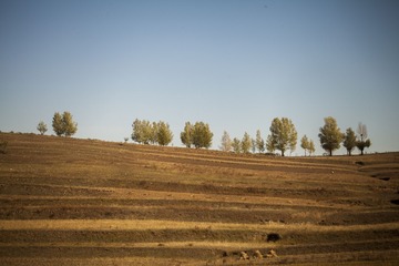 IMG_8864_1