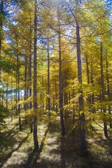 IMG_9014_1
