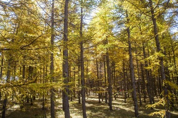 IMG_9019_1