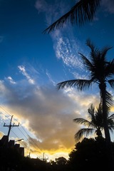 IMG_0490_1