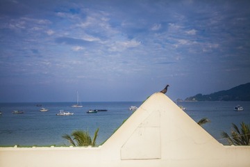 IMG_9181_1