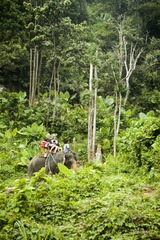 IMG_9594_1