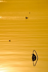 DSC_8454.jpg