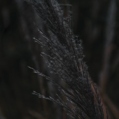 F266CCE7-A5F8-4062-8CD2-D8C2661E10E3/L0/001