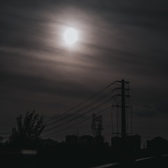 E299F1D6-B0E2-4A0A-86BC-E6C9714D3CC4/L0/001
