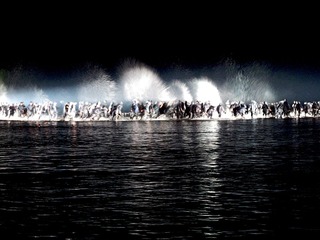 IMG_8544.JPG