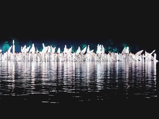 IMG_8575.JPG