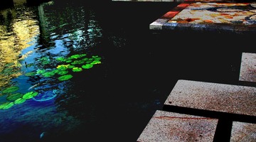 荷·花3.jpg