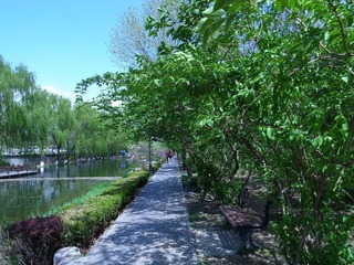 R0010115.JPG