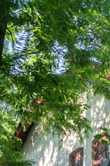 _IGP7449.jpg