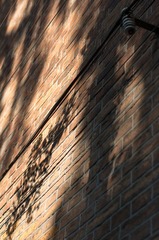 _IGP7457.jpg
