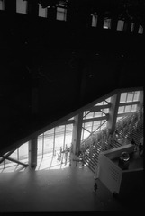 Untitled-18.jpg