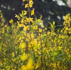 _BBB0884.jpg