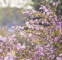 _BBB0882.jpg