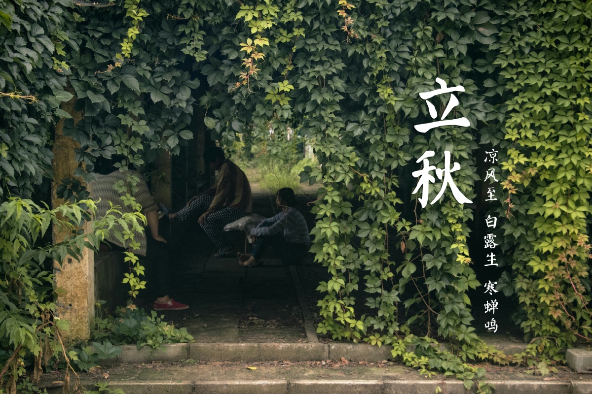 地里的阿姨在葡萄架下乘凉,突然一撇构图美呆了