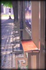IMG_3071.jpg