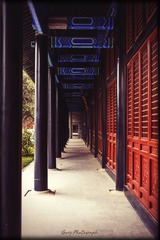IMG_3384.jpg
