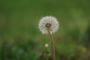 652326
