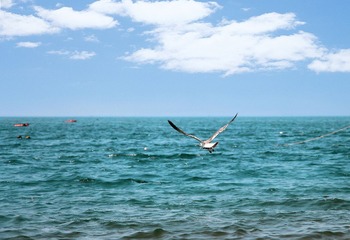 IMG_6943.jpg