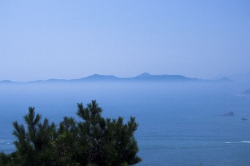 IMG_6997.jpg