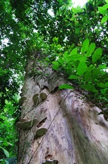 IMGP7379.jpg