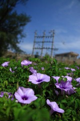 IMG_5408