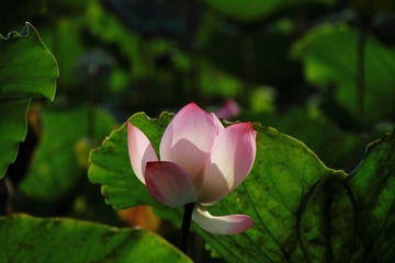 IMG_2808