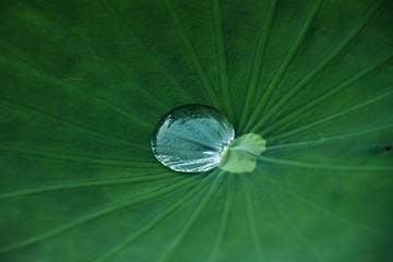 IMG_2755