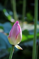 IMG_2720