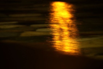 IMG_2698 (9)