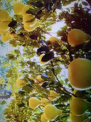 IMG_20180403_101219
