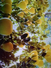IMG_20180403_101219