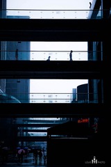 _MG_1843.jpg