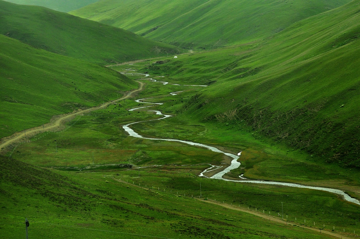 弯弯曲曲的小河滋润着青青草原.
