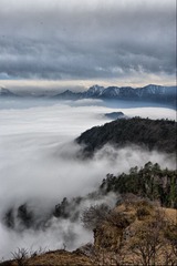DSC_6886.jpg