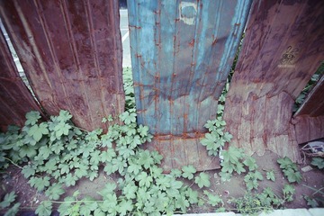 _MG_9469c
