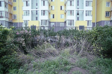 _MG_9477c