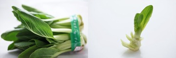 菠菜