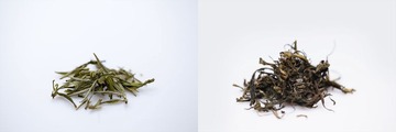 茶