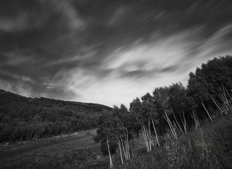 _MG_3167c.jpg