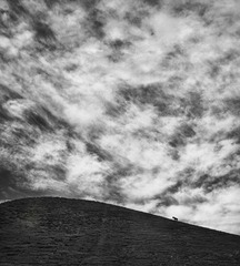 _MG_3350c.jpg