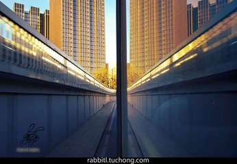 楼丛路尽