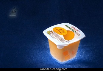 布丁2