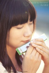琴鸣の时