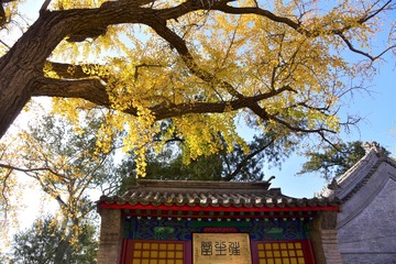 世界的两端