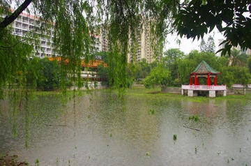IMGP2277.jpg