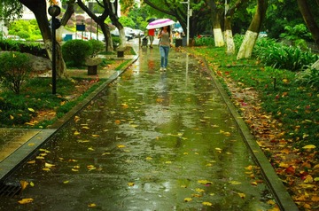 IMGP2282.jpg